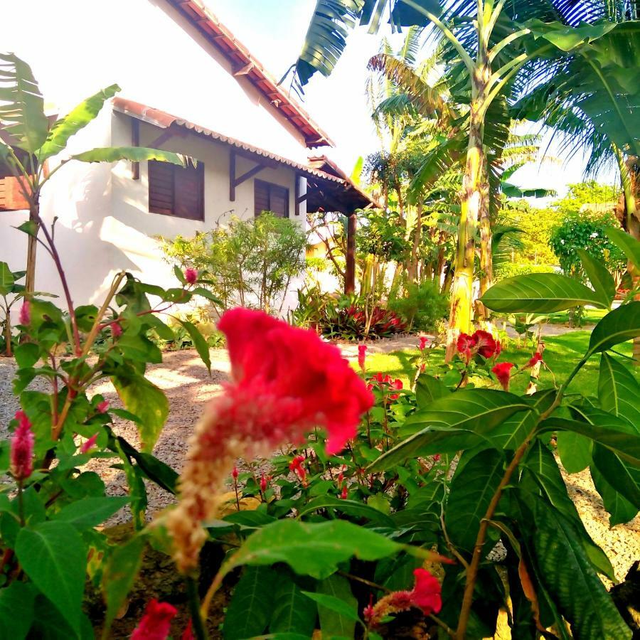 Tropicana Village São Miguel do Gostoso Zewnętrze zdjęcie